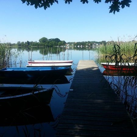 Holzhaus Trollbluemchen Am Wald Und See Neuruppin Exterior foto